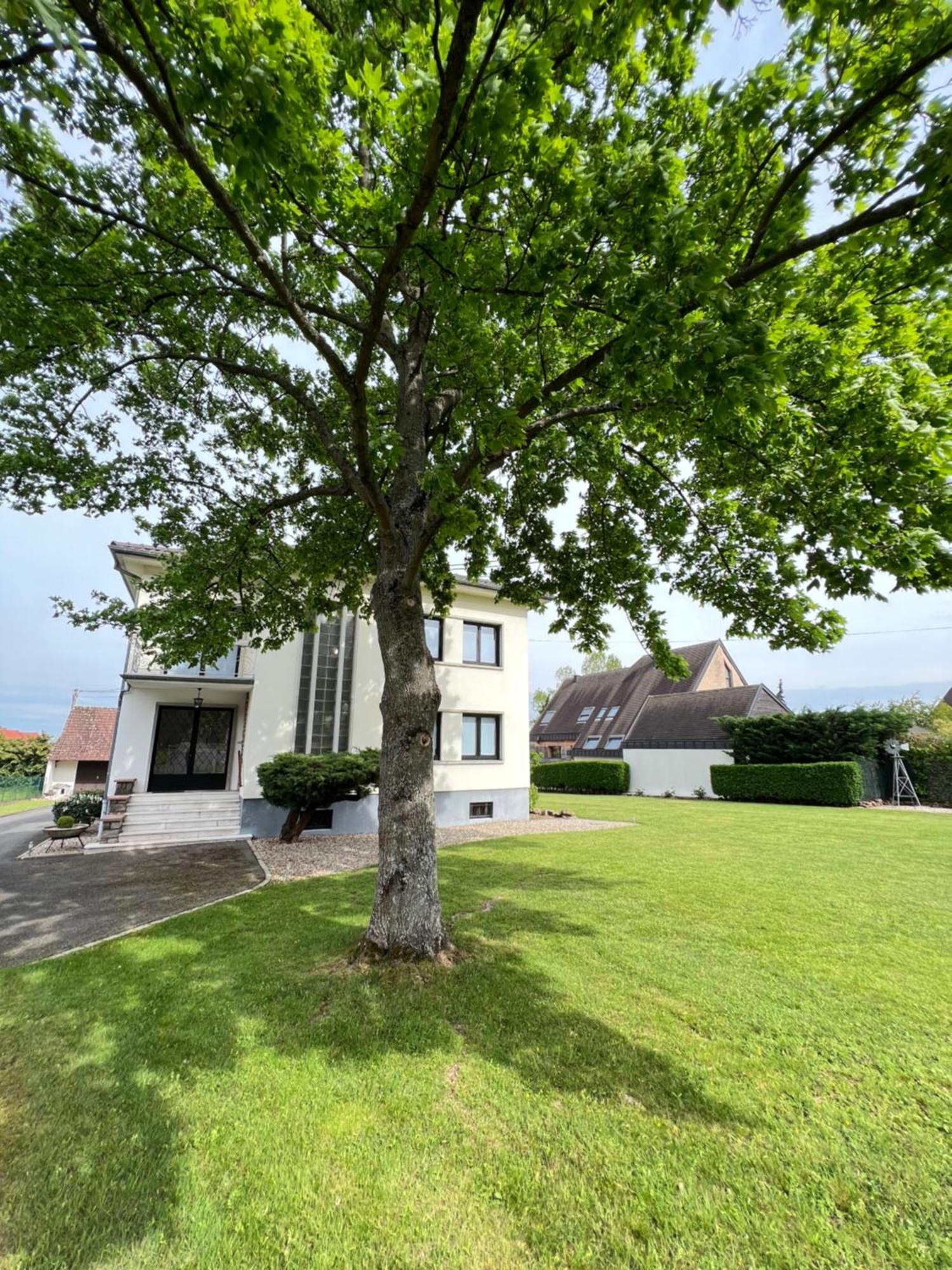 Bonne Idee - Suite Georges - Meuble De Tourisme 4 Etoiles Châtenois Buitenkant foto